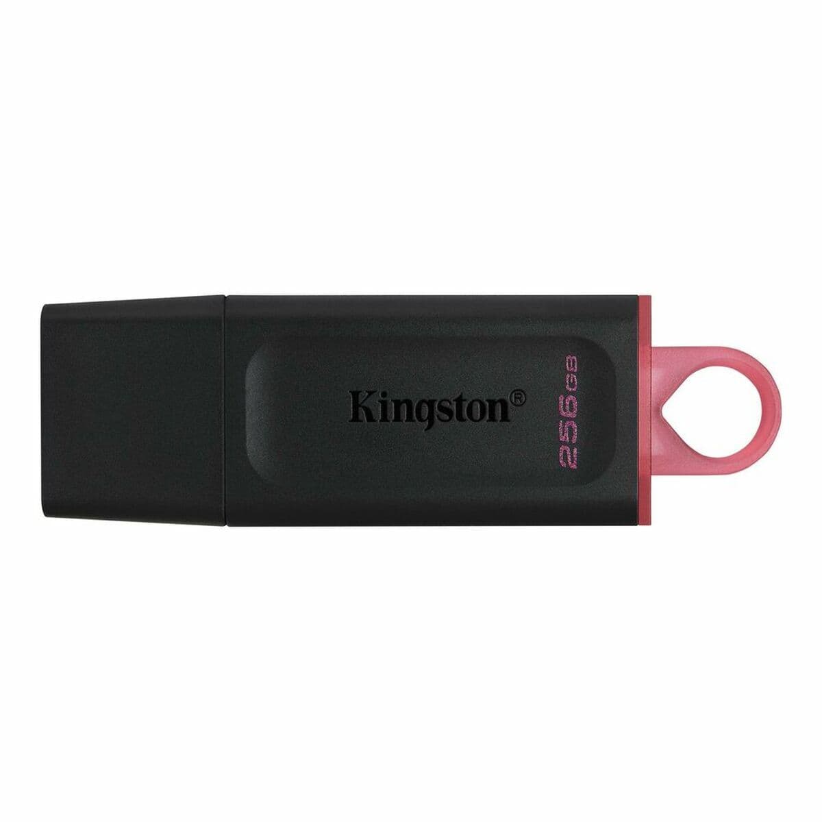 Memoria USB Kingston Exodia Rosa 256 GB