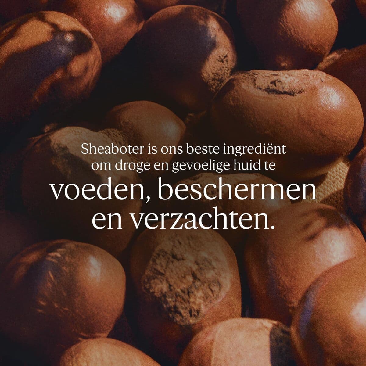 Crema Piedi Idratante L'Occitane En Provence KARITÉ CONFORT 30 ml