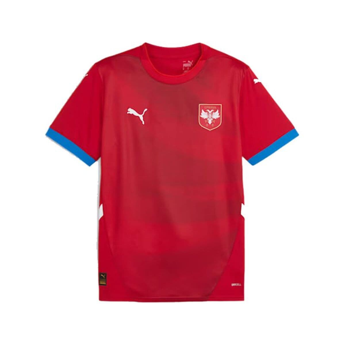 Maglia da Calcio a Maniche Corte Uomo Puma Serbia 2024