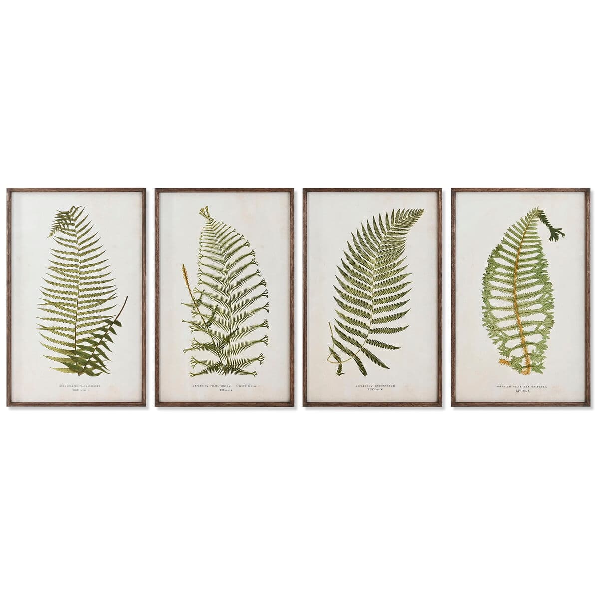 Painting Home ESPRIT Crystal Fir 45 x 2,5 x 70 cm