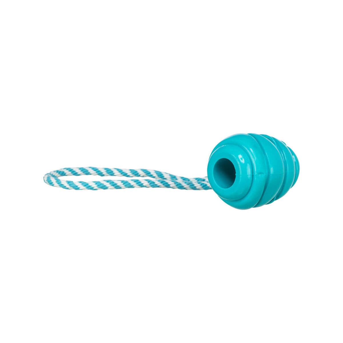 Dog chewing toy Trixie Super Strong blau One size