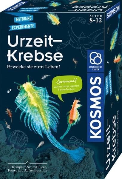 Kosmos 65787 (Kosmos 65787)