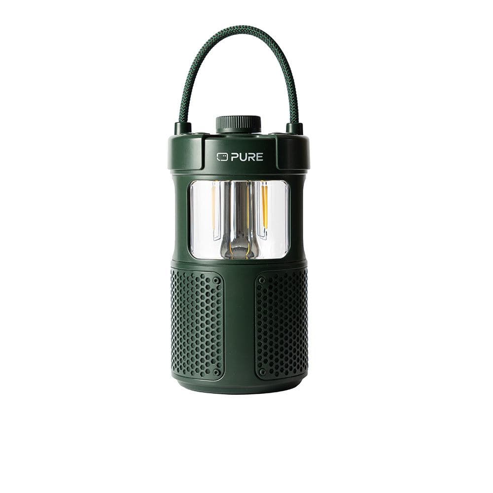 Pure 252584 altoparlante portatile e per feste Verde 20 W (Pure Woodland Glow wasserdichter Outdo)