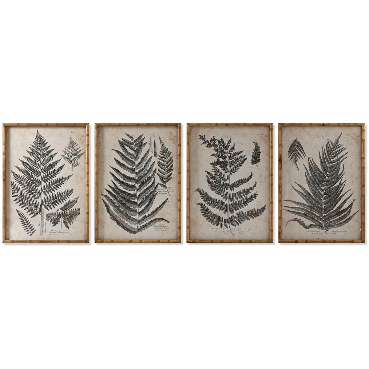 Quadro ESPRIT abete cristallo 50 x 3 x 70 cm